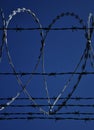 Barbed wire heart