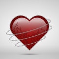 Barbed wire heart Royalty Free Stock Photo