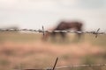 Barbed wire, horse in the background beautiful Dutch landscape Royalty Free Stock Photo