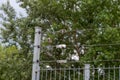 Barbed wire on industrial fence