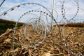 Barbed wire installing on the Hungarian-Croatian border