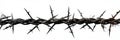 Barbed Wire Isolated on Transparent Background. Generative ai Royalty Free Stock Photo