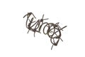 barbed wire isolated on white background Royalty Free Stock Photo