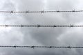 Barbed wire lines against a dramatic dark cloudy Royalty Free Stock Photo