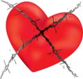 Barbed Wire Love