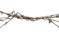 Barbed Wire Macro Closeup, Old Aged Detailed Weathered Grunge