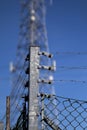 Barbed wire mesh fence Royalty Free Stock Photo