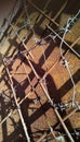 Barbed wire on metal reinforcement on a background of rusty iron. Royalty Free Stock Photo