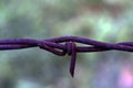 Barbed wire Metal is old and rusty