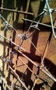 Barbed wire on metal reinforcement on a background of rusty iron. Royalty Free Stock Photo