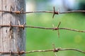 Barbed wire nailed to a wooden fence post Royalty Free Stock Photo