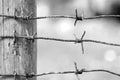 Barbed wire nailed to a wooden fence post Royalty Free Stock Photo