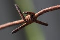 Barbed wire old