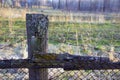 The barbed wire at the old fence