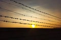 The barbed wire over the brick wall. Prison concept Royalty Free Stock Photo
