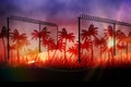 Barbed wire over silhouette of palm trees against sunset sky Royalty Free Stock Photo