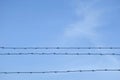 barbed wire over wall to protection with blue sky background Royalty Free Stock Photo