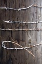 Barbed Wire Post Royalty Free Stock Photo