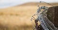 Barbed Wire Post Royalty Free Stock Photo