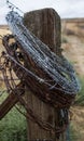 Barbed Wire Post Return Royalty Free Stock Photo