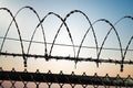 Barbed wire on prison fence, Security concept. 3D rendered illustration.