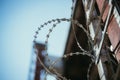 Barbed wire in the prison or on military base, close up perspective