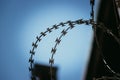 Barbed wire in the prison or on military base, close up perspective