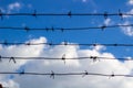 Barbed wire of prison wall closes blue sky, escape concept Royalty Free Stock Photo