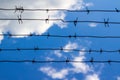 Barbed wire of prison wall closes blue sky, escape concept Royalty Free Stock Photo