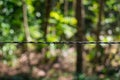 Barbed wire protecting a private property in the countryside Royalty Free Stock Photo