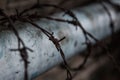 Barbed wire protection Royalty Free Stock Photo