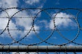 Barbed wire Royalty Free Stock Photo