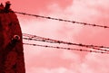 barbed wire and the red background Royalty Free Stock Photo