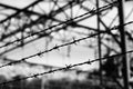 Barbed wire of a refugee camp with impossible escape in dramatic effect Royalty Free Stock Photo