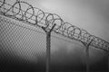 Barbed wire - restricted area, black and white Royalty Free Stock Photo