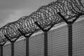 Barbed wire - restricted area. Black and white photo Royalty Free Stock Photo