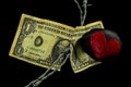 Barbed wire running through a old weathered and ripped dollar bill and a black stone with a painted red heart laying on it Royalty Free Stock Photo