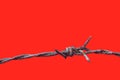 Barbed wire rust old isolated on red background, barbed wire rusty meaning to incarcerate, imprison, detention center