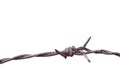 Barbed wire rust old isolated on white background, barbed wire rusty meaning to incarcerate, imprison, detention center