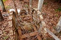 Barbed Wire And Rusted Ancient Machinery