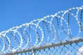Barbed wire securely placed on the top of a concrete fence wall for heightened security measures