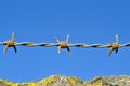 Barbed wire secures the summit of the concrete fence wall for heightened perimeter protection Royalty Free Stock Photo