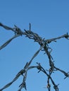 Barbed Wire Security Fence