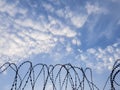 Barbed wire coils silhouette against the blue sky - security fence, prison, incarceration or detention background kground Royalty Free Stock Photo