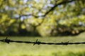 Barbed wire silhouette