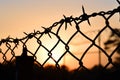 barbed wire silhouette on a fence at sunset Royalty Free Stock Photo