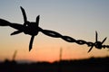 barbed wire silhouette on a fence at sunset Royalty Free Stock Photo