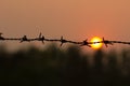 Barbed wire silhouette on sunset sky Royalty Free Stock Photo
