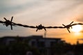 Barbed wire silhouette on sunset sky Royalty Free Stock Photo