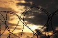 Barbed wire on dramatic sky background at sunset Royalty Free Stock Photo